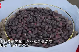 茂南省级花生产业园聚企成势，生出10亿元全产业链图片