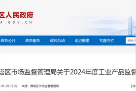 西安市雁塔区市场监督管理局公布2024年含挥发性有机物产品抽检结果图片