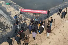 榆林：盐碱地里“结硕果”，虾蟹贝混养初成功图片