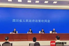 四川省国土空间规划解读：首提“两区三屏、一轴三带”图片