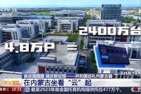 这里云下马儿跑 云上大数据“万马奔腾”→图片