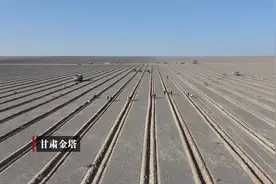 【甘肃金塔：小县城托起大使命①】生态脆弱区 何以青绿？图片
