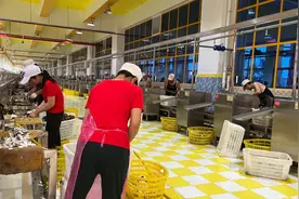 椰树集团：用心坚守好品质图片
