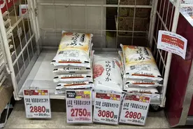 日本“米荒”背后的政策迷局与消费者困境图片