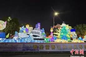 （新春走基层）浙江花灯亮相2025台湾南投元宵灯会图片