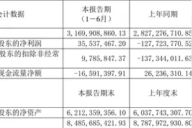 鹏欣资源：2023年上半年净利润3554万元 扭亏为盈图片