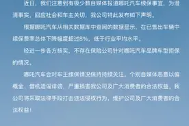 新能源车险“车主喊贵险企喊亏” 比亚迪特斯拉入局能否重塑新生态图片