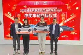 上海浦东：拉动消费增长，持续打造“嘉年华”品牌图片
