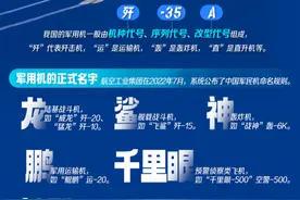 神、龙、鲨、鹰、鹏……我国军用机命名，猛禽神兽“出列”图片
