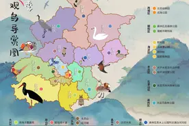 《北京冬季观鸟导赏图》发布，25个地点指引冬日观鸟之旅图片