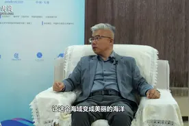 专家：中日韩领导人会议重启 三国蕴含广阔合作前景图片