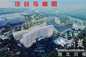 “强强携手”共建国家区域医疗中心 同济医院襄阳医院（筹）揭牌图片