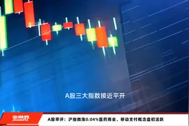 A股早评：沪指微涨0.04%医药商业、移动支付概念盘初活跃视频封面