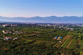 中国唯一上榜 汉文帝霸陵入选2023年度世界十大考古发现图片