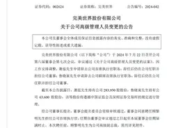 萧泓辞去完美世界CEO，公司上半年预亏过亿，陷入裁员风波图片