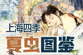 上海的夏季，谁是“虫中歌王”？图片