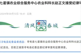 涉嫌严重违纪违法！云南寻甸县七星镇农业综合服务中心农业科科长赵正文被查图片