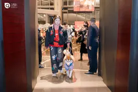 宠物友好剧院什么样？医疗辅助犬可可走进九棵树图片