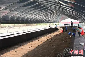 湖北考古新发现 填补江汉地区旧—新石器过渡阶段空白图片