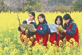 田间课堂绘春光图片