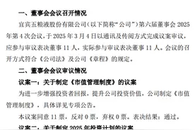 五粮液有大动作！2025年投资近26亿元布局19个项目图片