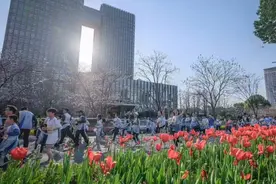 15000人“跑进春天”！杭州首场半程马拉松临平鸣枪开跑图片