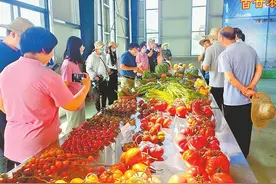 蔬菜当成水果吃 这种新“食”尚能否站上新风口图片
