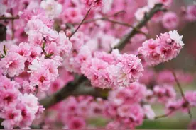男生患“桃花癫”感觉全校女生喜欢自己！究竟是怎样一种病？图片