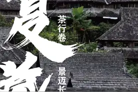 一片叶子的旅行 · 夏图片