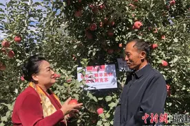 新疆阿克苏引进张艳璇博士“以螨治螨”绿色防控技术助苹果品质提升图片