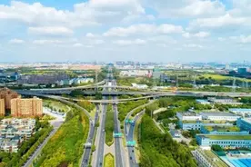 闵行区颛桥镇这个产业集群成功跻身“市队”，有何特色和亮点？图片