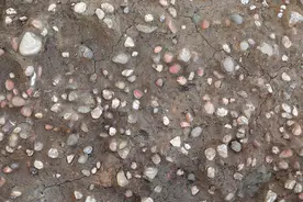 首次发现手工业作坊：解读三星堆新的考古实证图片