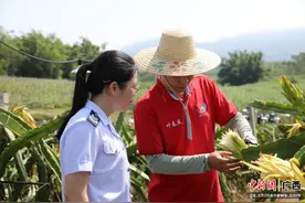 广西防城港税费服务助乡村产业兴图片