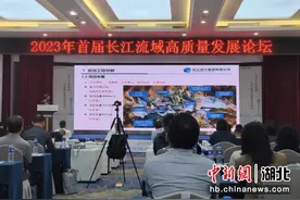 2023年首届长江流域高质量发展论坛在武汉举行图片