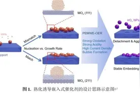 复旦团队研发新型绿氢生产嵌入式催化剂 登上《科学》图片
