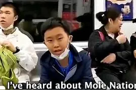 火了！外国网友深圳地铁偶遇“小孩哥”被折服……图片
