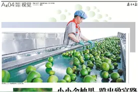 “柚”相见！梅县区这种小柚果，背后藏着致富经图片
