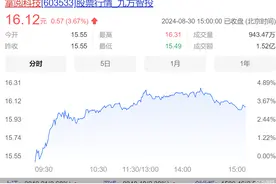 短期盈利能力承压，掌阅科技上半年净利同比转亏图片
