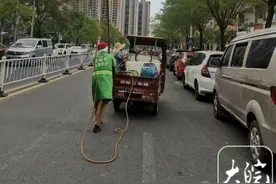 现场｜六安：行道树生虫子，社区安排喷药除虫图片