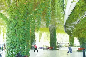 一边是长期被忽视的城市“边角料”，一边是停车难、人均体育场地面积不足——长沙盘活桥下空间正“破冰”图片