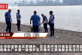 取水口附近垂钓，禁！丹水池街道开展联合巡查行动视频封面