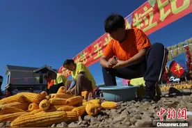 内蒙古举办丰收节：稻花香里说丰年图片