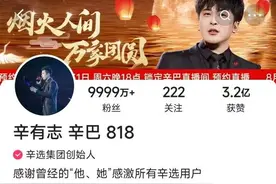 辛巴快手账号直播解封，双11期间有望重新开播图片