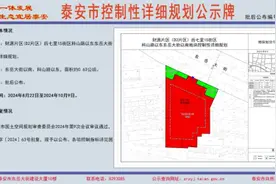 涉及财源、泰前片区，泰安这两地发布最新规划图片