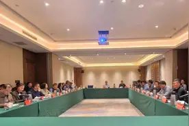 新兴产业和未来产业重大项目谋划工作座谈会举行图片