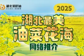 2025湖北“最美油菜花海”暨“特色菜籽油品牌”投票通道开启图片