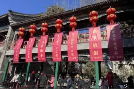 “贾宝玉、林黛玉”都来了！大观园红楼庙会年味浓图片