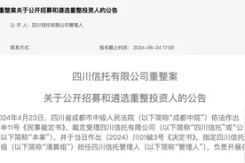 四川信托公开招募重整投资人：出资规模不少于50亿元图片