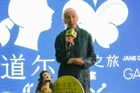 一周艺术人物｜珍·古道尔行走中国，昆斯谈人工智能图片