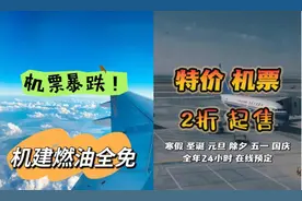 聚焦春运 | 超低价机票可能是“黑票代”，如何甄别？图片